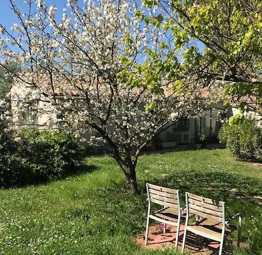 Le Jardin De La Cite *